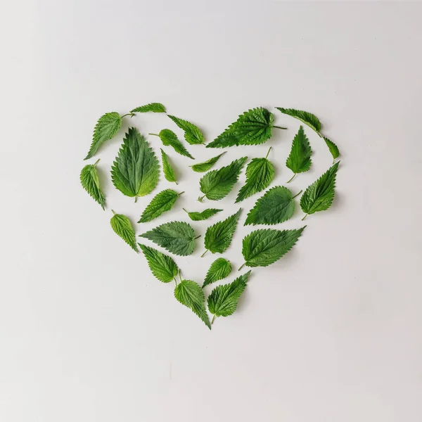 Creative Nettle Leaves Heart Shape Minimal Nature Love Concept — Stock Photo, Image