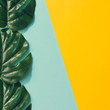 Yaratıcı düzen renkli tropikal yapılmış sarı ve mavi arka plan üzerinde en az yaz egzotik kavramı bırakır 