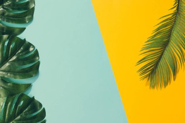 Yaratıcı düzen renkli tropikal yapılmış sarı ve mavi arka plan üzerinde en az yaz egzotik kavramı bırakır 