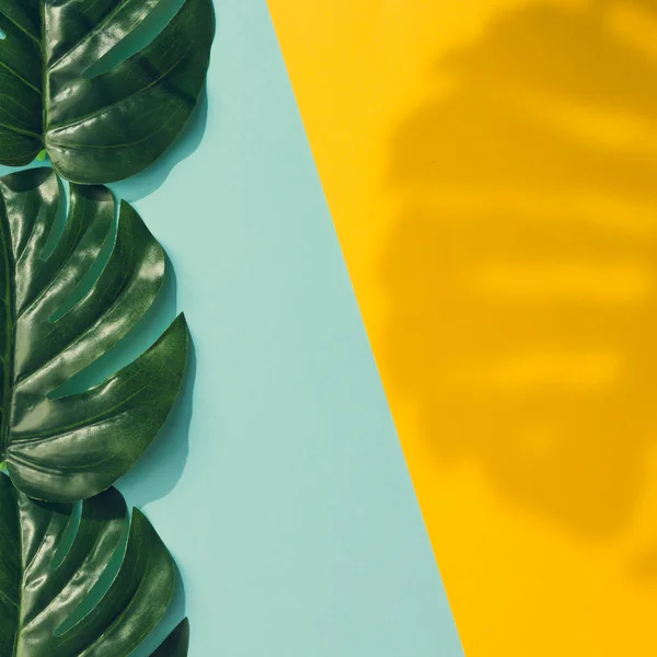 Kreatives Layout Aus Bunten Tropischen Blättern Auf Gelbem Und Blauem — Stockfoto
