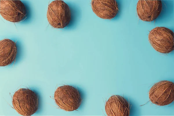 Kokosfrüchte Buntes Muster Auf Pastellblauem Hintergrund Sommerkonzept — Stockfoto