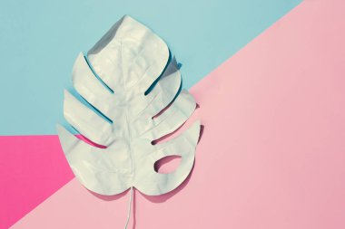 Pastel pembe ve mavi arka plan üzerinde en az yaz egzotik kavramı boyalı tropikal yaprak yaratıcı düzeni yapılmış 