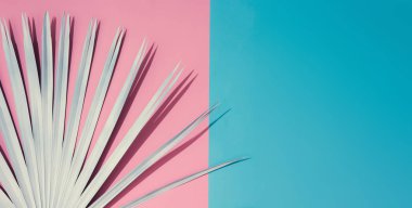 Egzotik boyalı tropikal palmiye yaprağı, en az moda yaz konsepti ile tropikal parlak renkli arka plan 