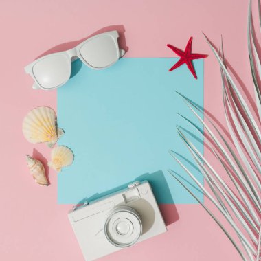 fotoğraf makinesi ile plaj aksesuarları ve pastel pembe ve mavi arka plan, yaz konsepti palmiye yaprağı   