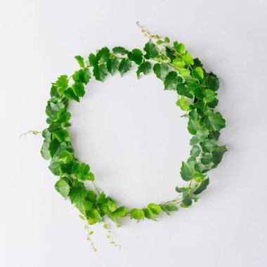 Dalları ve yaprakları beyaz arka plan üzerinde doğa kavramı izole daire şeklinde yapılmış yaratıcı düzeni