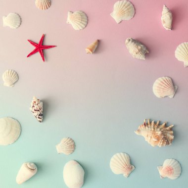 Deniz kabuklarını ve degrade pastel pembe ve mavi arka plan üzerinde kırmızı deniz yıldızı ile yaratıcı desen 