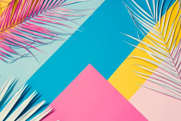 Tropical Bright Colorful Background Exotic Painted Tropical Palm Leaves Minimal — Stock Photo, Image