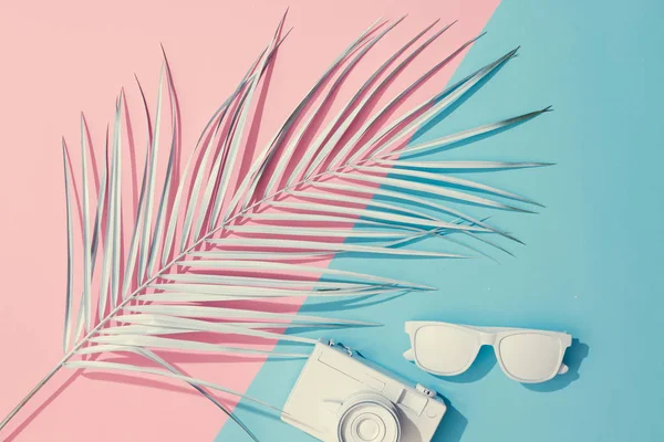 Accessori Spiaggia Foglia Palma Sfondo Rosa Pastello Blu Concetto Estivo — Foto Stock