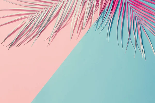 Tropische Helle Bunte Hintergrund Mit Exotisch Bemalten Tropischen Palmenblättern Minimale — Stockfoto