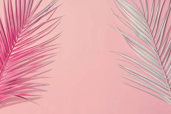 Painted palm leaves on pastel pink background, Tropical summer concept