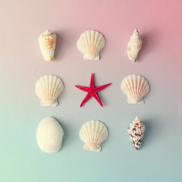 Creative pattern with seashells and red starfish on gradient pastel pink and blue background