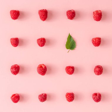 Ahududu ve pembe bir arka plan üzerinde yeşil yaprak ile yaratıcı özenle düzenlenmiş gıda düzeni. En az sağlıklı gıda kavramı. Düz yatıyordu.