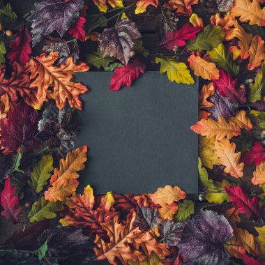 Kağıt kartı notlar, doğa kavramı ile yaratıcı düzen sonbaharında yapılan bırakır 