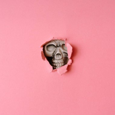 Skull breaking through pastel pink wall. Creative Halloween minimal concept. clipart