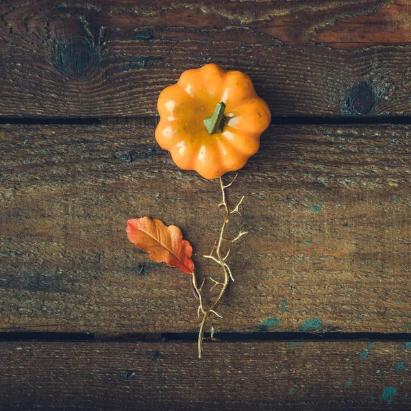 Λουλούδι Από Κολοκύθα Και Φθινοπωρινό Κίτρινο Φύλλο Φόντο Ξύλινη Έννοια — Φωτογραφία Αρχείου