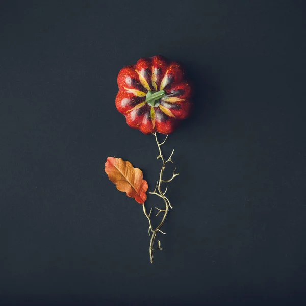 Blume Aus Kürbis Und Herbstgelbem Blatt Vor Dunklem Hintergrund Saisonkonzept — Stockfoto