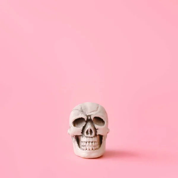 Crânio Sobre Fundo Rosa Pastel Conceito Mínimo Criativo Halloween — Fotografia de Stock