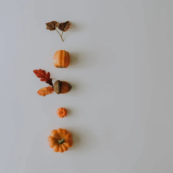 Creative Układ Jesiennych Liści Dynie Minimalny Układ Płaski Sezon Jedzenie — Zdjęcie stockowe