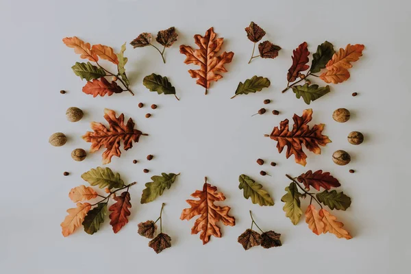黄色の落ち葉と木の実で作られた創造的な秋のレイアウト 最小フラット横たわっていた 性質の概念 — ストック写真