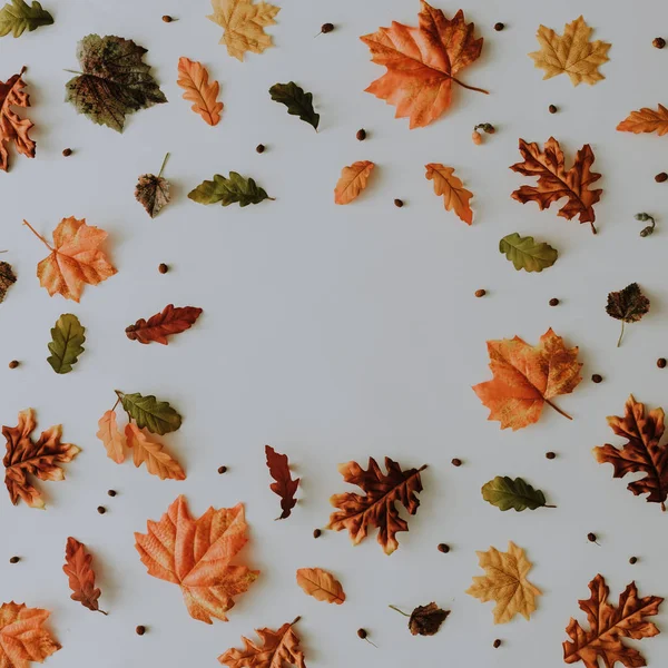 Padrão Outono Criativo Feito Com Folhas Bagas Amarelas Caídas Conceito — Fotografia de Stock