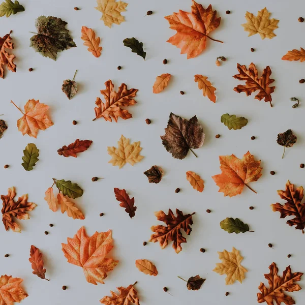 Padrão Outono Criativo Feito Com Folhas Bagas Amarelas Caídas Conceito — Fotografia de Stock