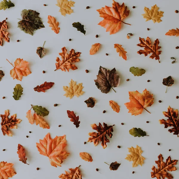 Modèle Automne Créatif Réalisé Avec Des Feuilles Des Baies Jaunes — Photo