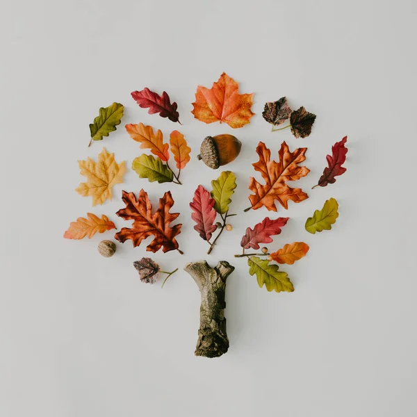 Δημιουργικό Φθινόπωρο Δέντρο Φτιαγμένο Από Κίτρινα Πεσμένα Φύλλα Και Ξηρούς — Φωτογραφία Αρχείου
