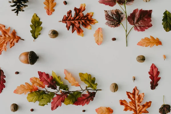 Creative Autumn Pattern Made Yellow Fallen Leaves Berries Nuts Nature — Stock Photo, Image