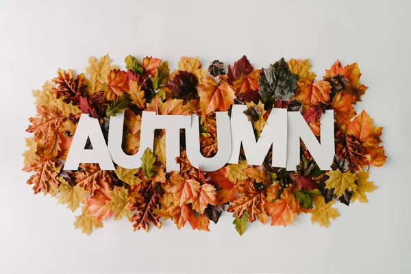 Word Autumn Colorful Leaves Creative Nature Concept — Stock Photo, Image