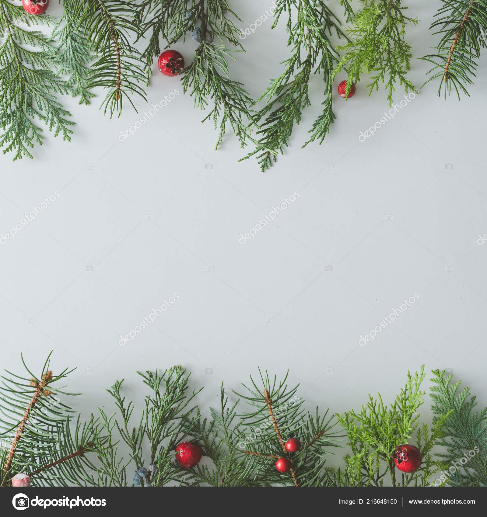 Creative Christmas Made Natural Winter Evergreen Tree Branches Red Stock Photo by ©Zamurovic 216648150