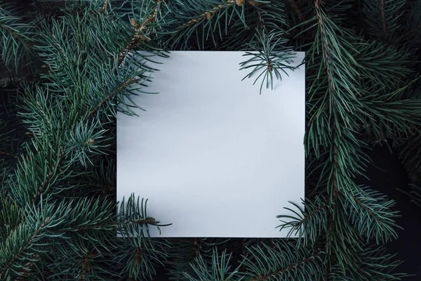Creative Układ Wykonany Zimowych Wiecznie Zielone Drzewo Gałęzie Papieru Uwaga — Zdjęcie stockowe