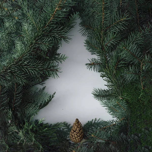 Układ Creative Zimowe Wykonane Wiecznie Zielone Drzewo Gałęzie Koncepcja Choinki — Zdjęcie stockowe