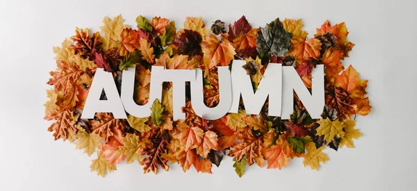 Weiße Wort Herbst Auf Bunten Blättern Kreatives Naturkonzept Minimale Herbstglätte — Stockfoto