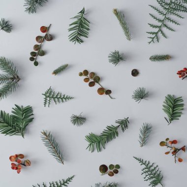 Çam dalları ve sonbahar en az Noel kompozisyonu beyaz masa arka planda, üstten görünüm bırakır 