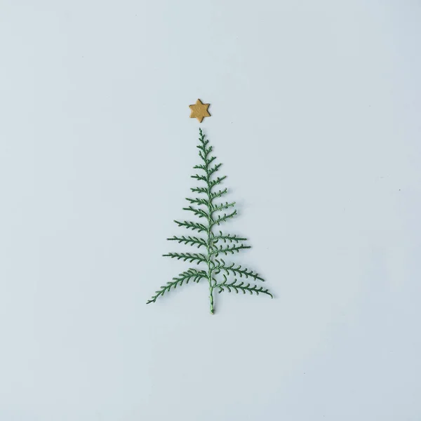 Σχήμα Μίνιμαλ Χριστουγεννιάτικο Δέντρο Φτιαγμένο Από Υποκατάστημα Δέντρο Αειθαλές Αστέρι — Φωτογραφία Αρχείου