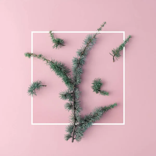 Julgran Grenar Minimal Kreativ Layout Pastell Rosa Bakgrund Holiday Koncept — Stockfoto