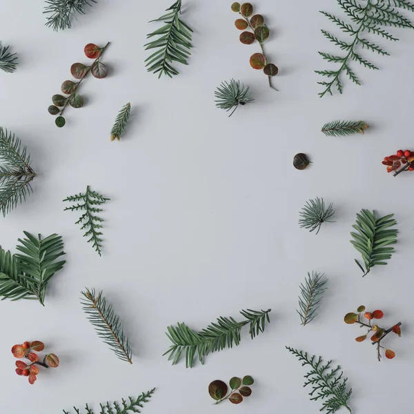 最小的圣诞节组成与杉木树枝和秋叶在白色表背景 顶部视图 — 图库照片