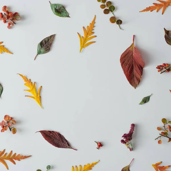 Composition Minimale Nature Automnale Feuilles Branches Automne Sur Fond Table — Photo