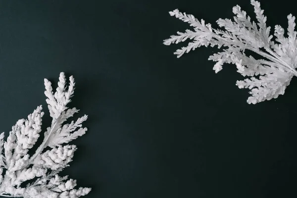 Fondo Oscuro Mesa Navidad Con Ramas Blancas Del Árbol Navidad — Foto de Stock