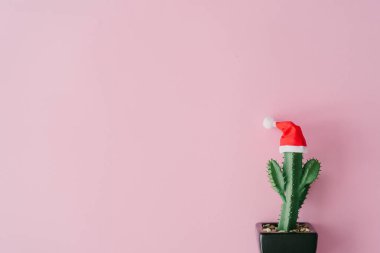 Tropical summer cactus plant with santa hat on pink background. Minimal flat lay Christmas theme. New year sale concept clipart
