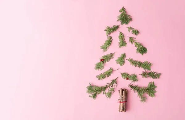 Weihnachtsbaum Mit Immergrünen Tannenzweigen Und Zimtstangen Auf Pastellrosa Hintergrund Minimale — Stockfoto