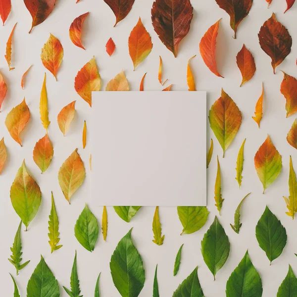 五颜六色的落叶的创意模式与纸卡笔记 最高视图 变化季节的概念 — 图库照片