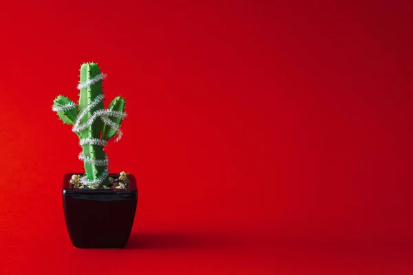 Cactus Met Kerstboom Decoratie Pot Rode Achtergrond Minimale Nieuwjaar Concept — Stockfoto