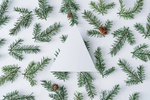 松锥和纸卡纸条杉木分枝的冬季组成 — 图库照片