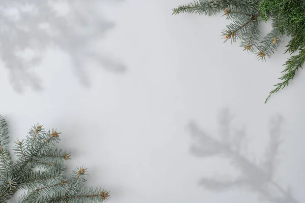 Creative Układ Gałęzi Choinki Białym Tle Minimalne Zimowe Wakacje Koncepcja — Zdjęcie stockowe
