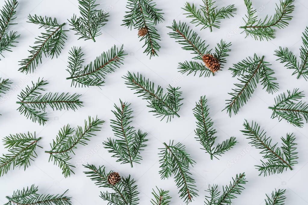 Winter composition of fir branches with pine cones  isolated on white background 