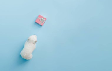 Kutup ayısı oyuncak Noel hediye kutusu parlak pastel mavi arka plan ile. Noel ve kış tatil kavramı.