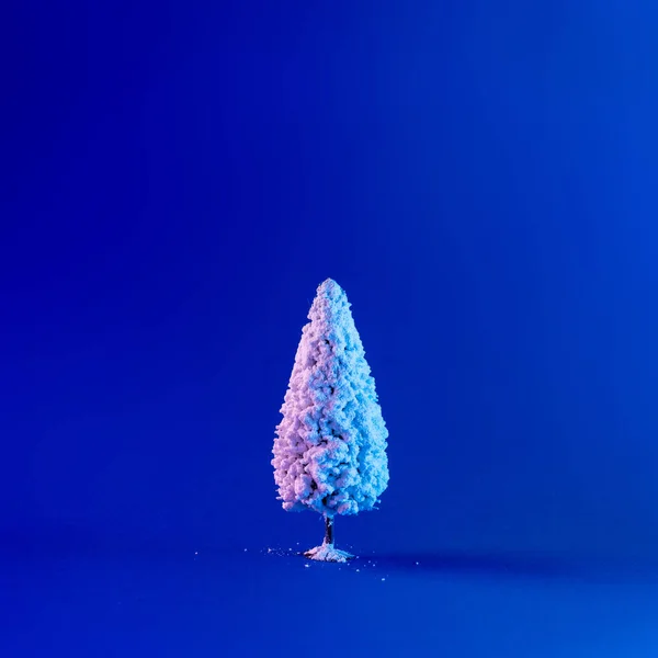 Árvore Natal Coberta Neve Cores Holográficas Gradiente Ousado Vibrante Fundo — Fotografia de Stock