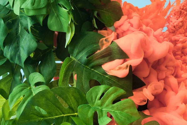 Hojas Monstera Tropical Verde Con Nube Color Coral Pastel Concepto —  Fotos de Stock