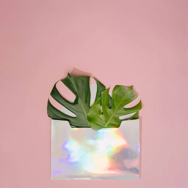 Monstera 파스텔 홀로그램 무지개 빛깔의 봉투에 나뭇잎 — 스톡 사진